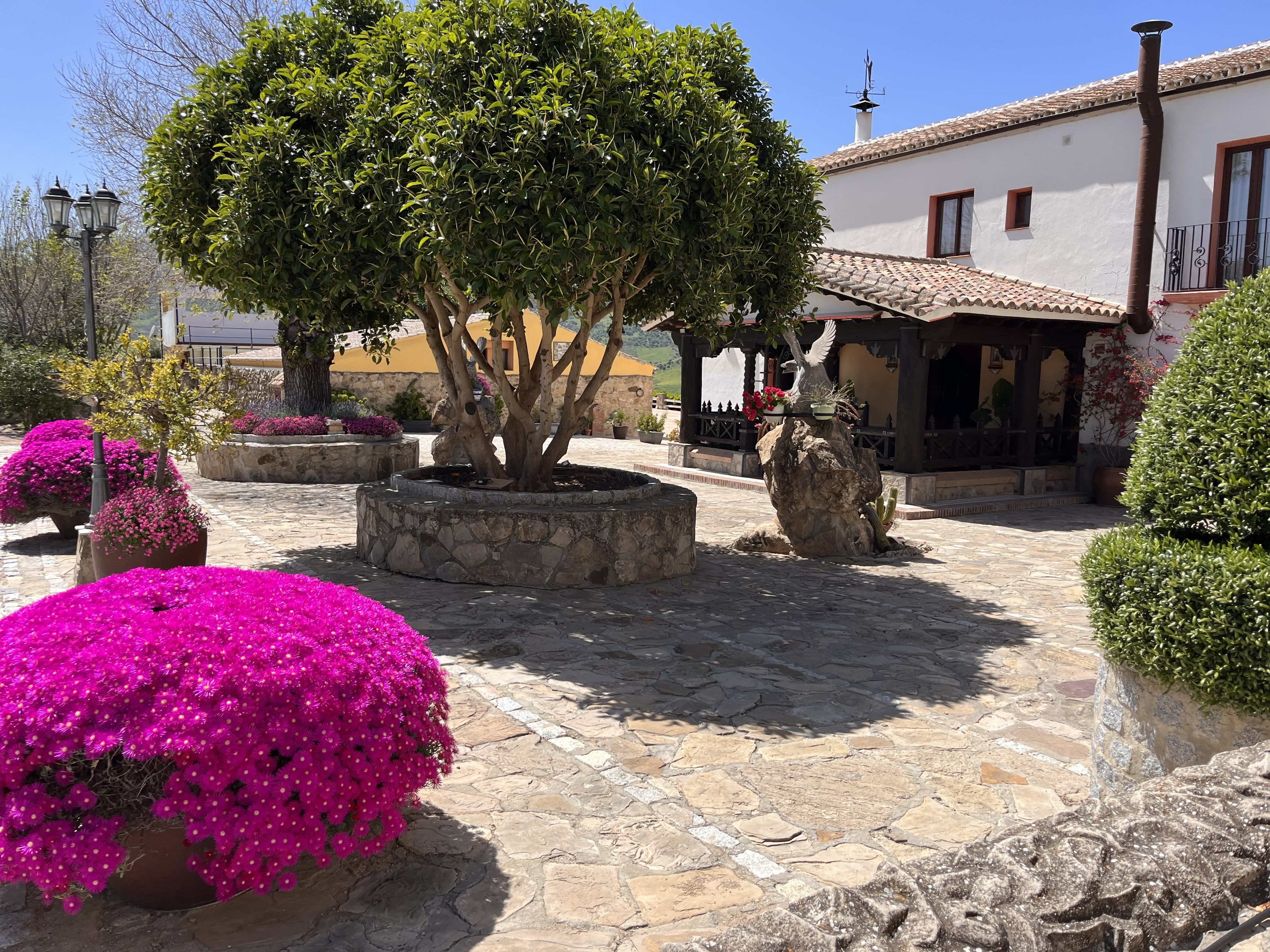 contacto-hotel-cortijo-salinas