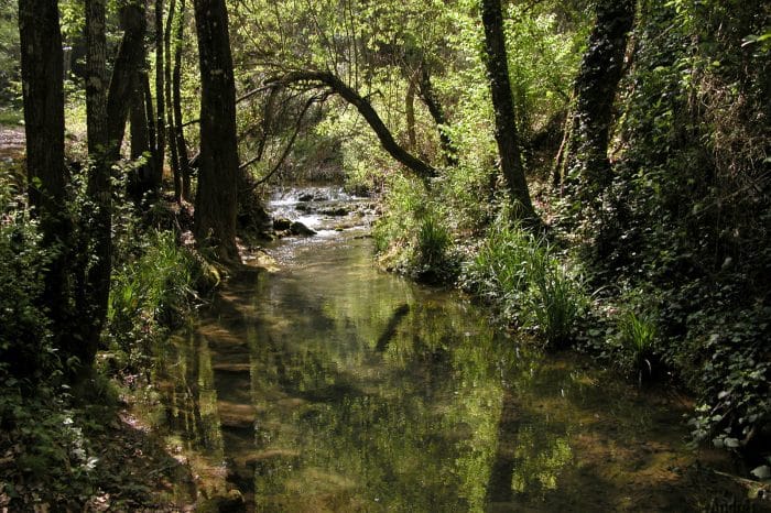 Serrania de Ronda